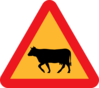 Warning Cows Road Sign Clip Art